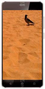 Galeria zdjęć telefonu Ginzzu S5002
