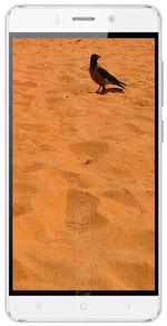 Galeria zdjęć telefonu Ginzzu S5220