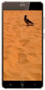 Galeria zdjęć telefonu Ginzzu S5230