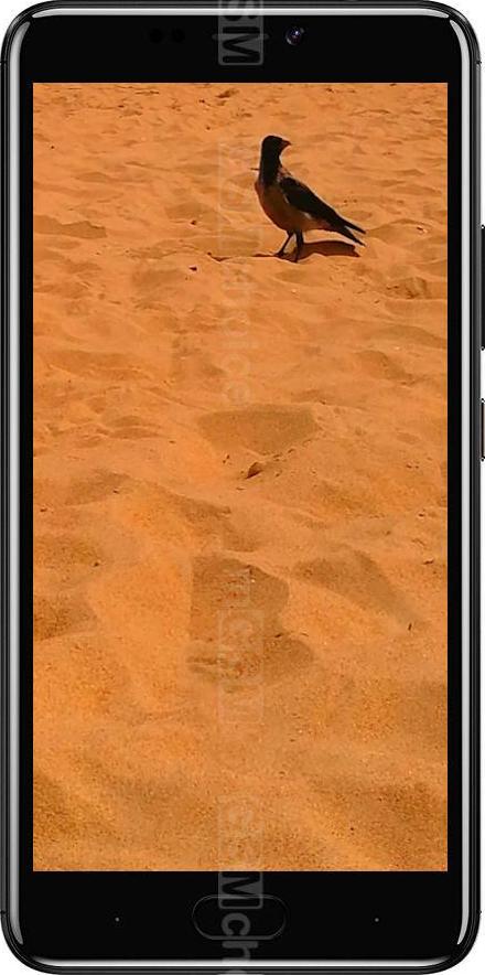 Gionee A1 Gionee A1