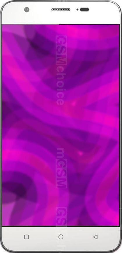 Gionee F303