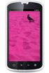 Haier W718