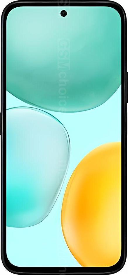 Honor Play 60