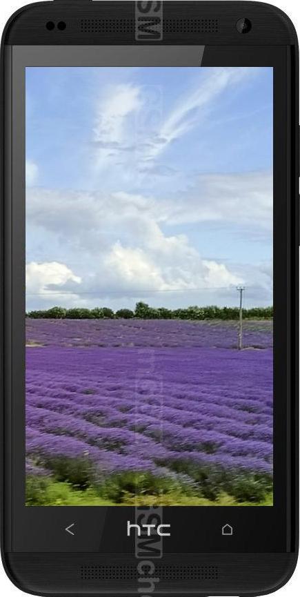 HTC Desire 601 Dual SIM HTC Desire 601 Dual SIM