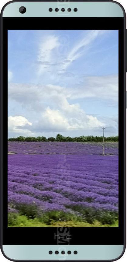 HTC Desire 650 HTC Desire 650