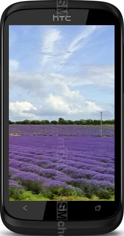 HTC Desire V