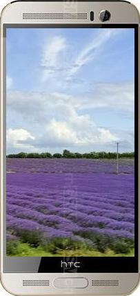HTC One M9+