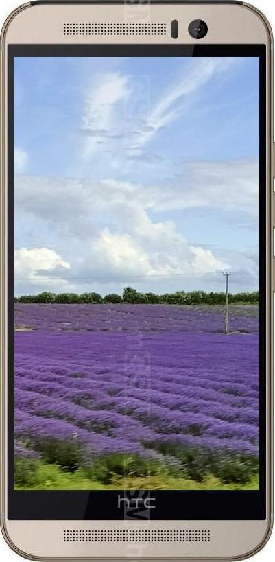 HTC One M9s HTC One M9s