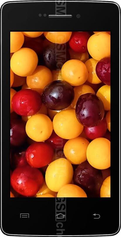 iBall Andi 4 IPS Tiger