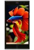 Intex Aqua Fish