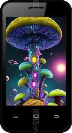 Intex cloud VX