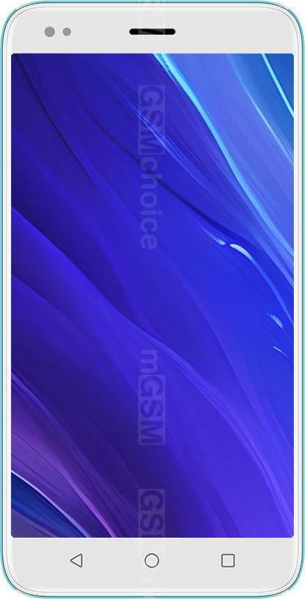 Intex Lions 6