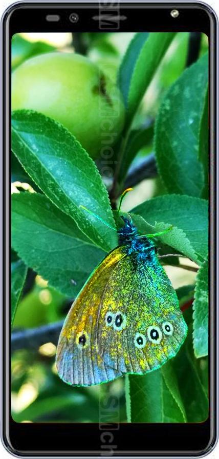 Karbonn Platinum P9 Pro Karbonn Platinum P9 Pro