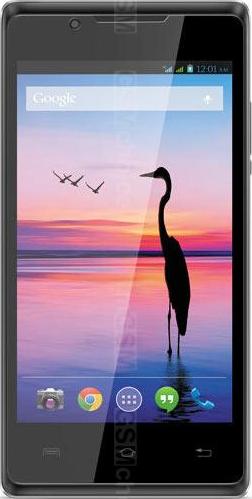 Lava Flair P1 Lava Flair P1