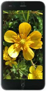 Galeria zdjęć telefonu Micromax Canvas Fire 6