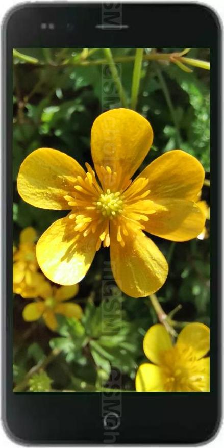 Micromax Canvas Fire 6 Micromax Canvas Fire 6