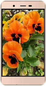 Galeria zdjęć telefonu Micromax Vdeo 1