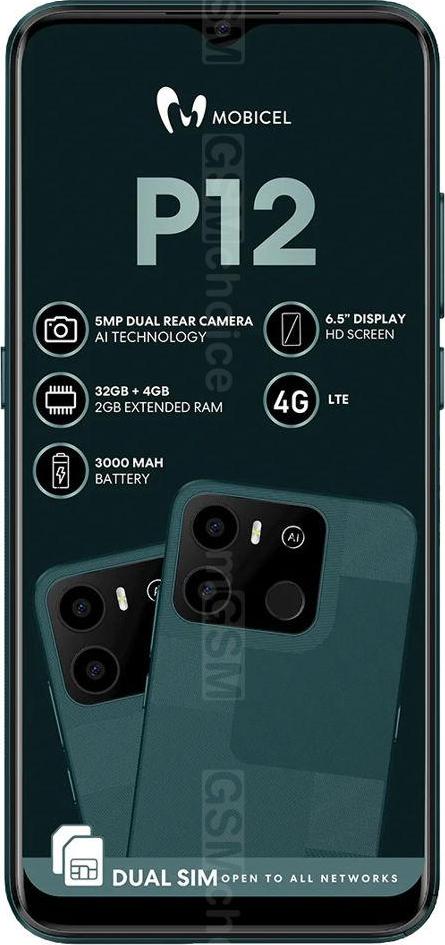 Mobicel P12