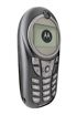 Motorola C115 kliknij aby zobaczyć powiększenie