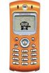 Motorola C333 kliknij aby zobaczyć powiększenie