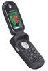 Motorola V177 kliknij aby zobaczyć powiększenie
