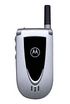 Motorola V66