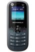 Motorola WX181 kliknij aby zobaczyć powiększenie