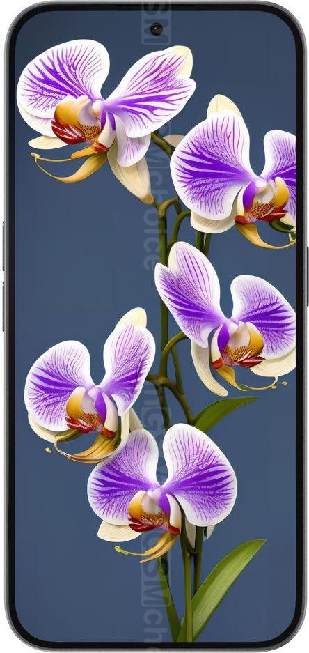 Nothing Phone (2a) Plus Nothing Phone (2a) Plus