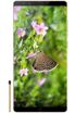 Nubia Z17S kliknij aby zobaczyć powiększenie