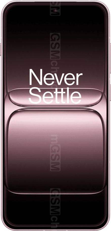 OnePlus 13T