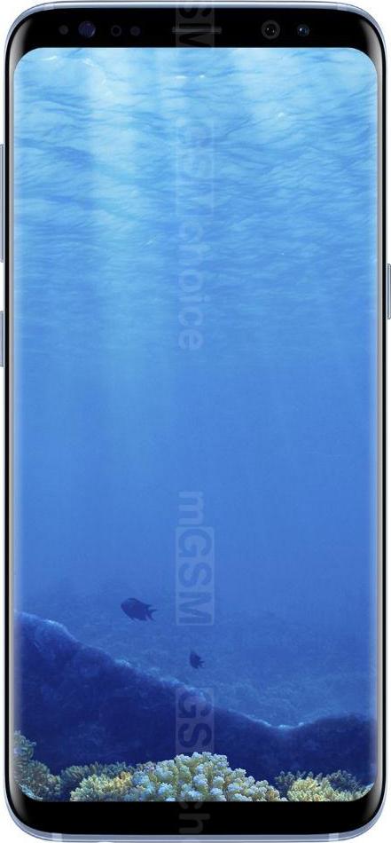 Samsung Galaxy S8 Dual SIM Samsung Galaxy S8 Dual SIM