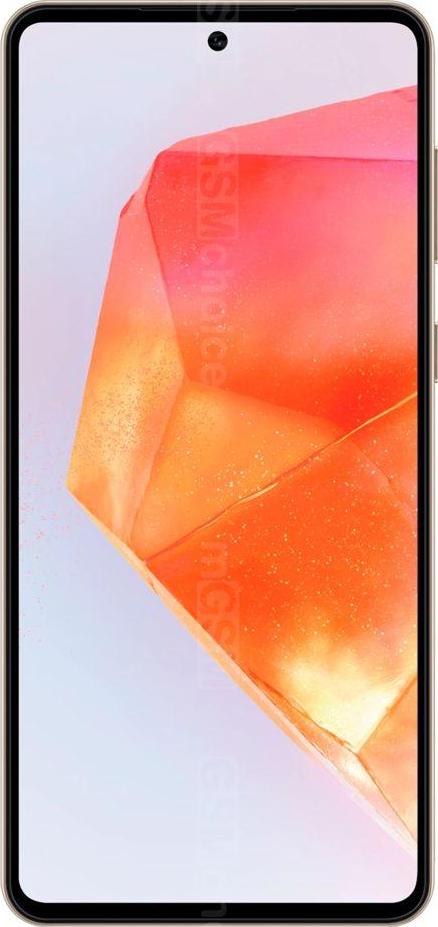 Samsung Galaxy C55 Samsung Galaxy C55
