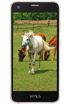 Vestel Venus V3 5040