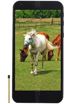 Vestel Venus V3 5530 kliknij aby zobaczyć powiększenie