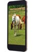 Vestel Venus V3 5530