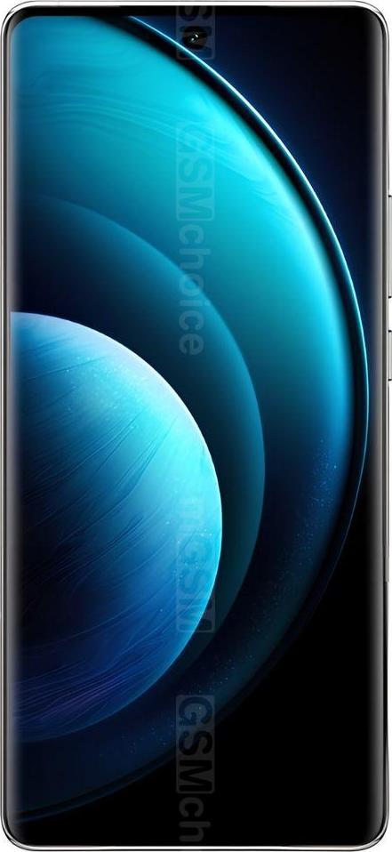 Vivo X100 Vivo X100