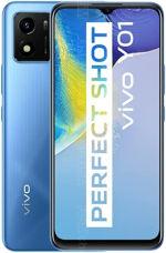 vivo y 1 l