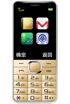 ZTE L550 kliknij aby zobaczyć powiększenie