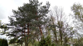 Dwie rozdzielczości - jedna bardziej panoramiczna Dwie rozdzielczości - jedna bardziej panoramiczna