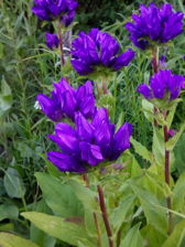 Przykładowe zdjęcia