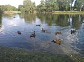 Przykładowe zdjęcia