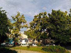 Przykładowe zdjęcia