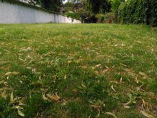 Przykładowe zdjęcia