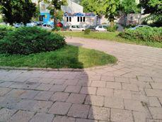 Przykładowe zdjęcia