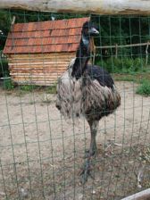 Przykładowe zdjęcia