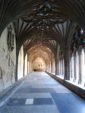 Przykładowe zdjęcia Przykładowe zdjęcia