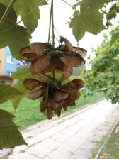 Przykładowe zdjęcia