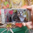 Sony Xperia XZ