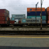 Przykładowe GIF-y zapisane Q-Smart Elite Przykładowe GIF-y zapisane Q-Smart Elite