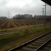 Przykładowe GIF-y zapisane Q-Smart Elite Przykładowe GIF-y zapisane Q-Smart Elite